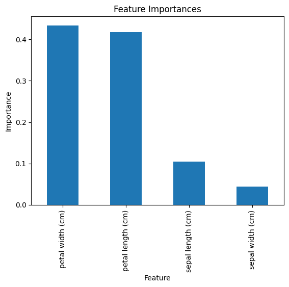 Feature Importance